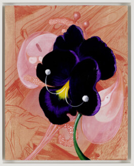 Pansy 2023 50 x 40 cm acrylics on board 